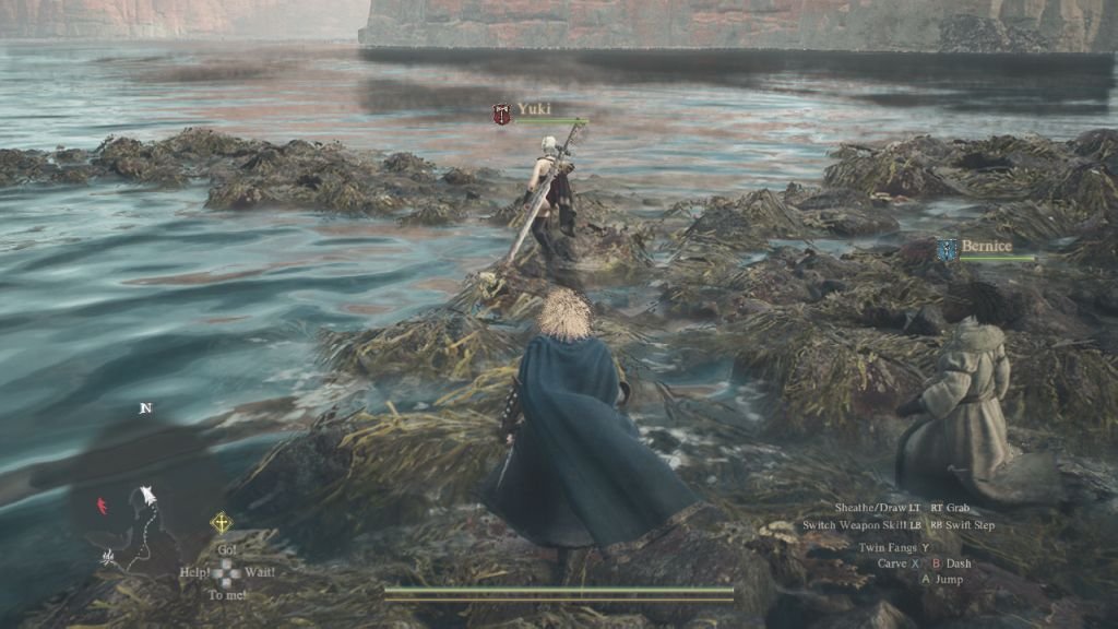 How to Get Newt Liqueur in Dragon's Dogma 2 - - News | | GamesHorizon