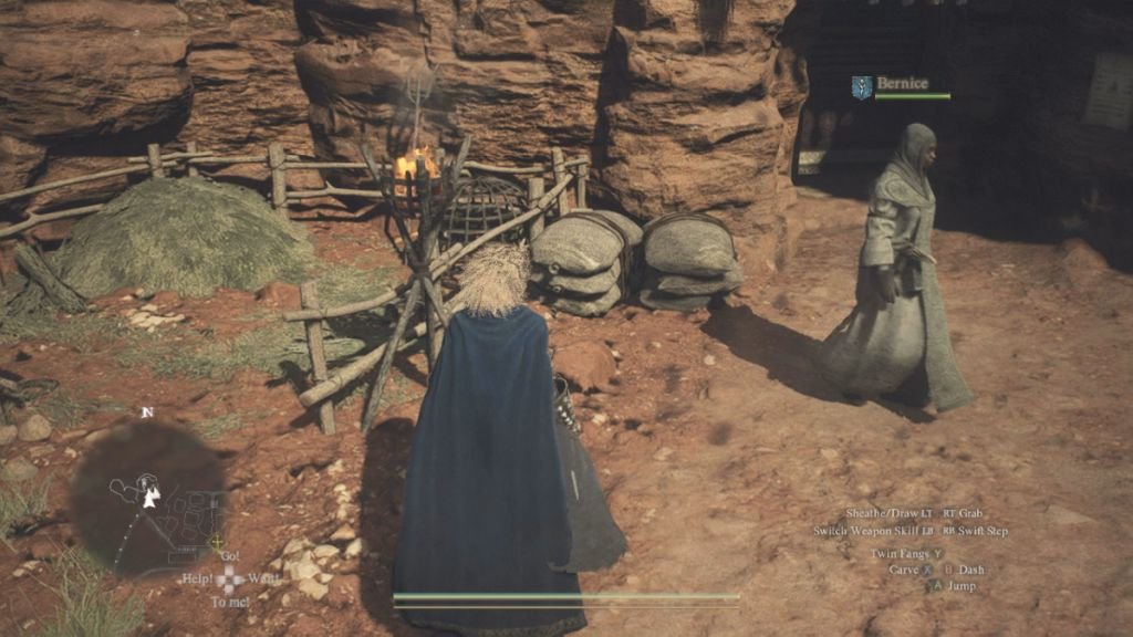 How to Get Newt Liqueur in Dragon's Dogma 2 - - News | | GamesHorizon