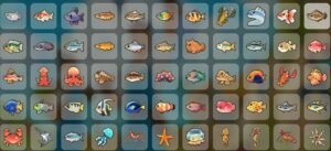 coral island fish