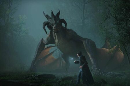 Wizard confronting a dragon in Hogwarts Legacy