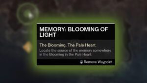 Memory blooming of light destiny 2