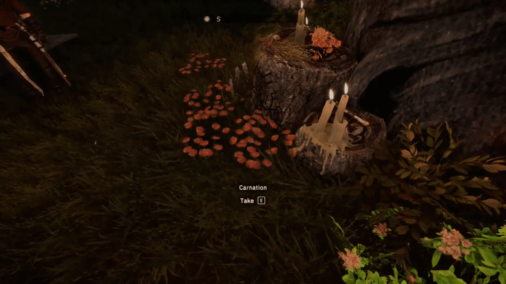 pain relief quest the carnation