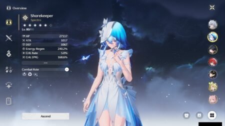 Wuthering Waves: Best Team Compositions For Augusta (Premium, General, F2P)