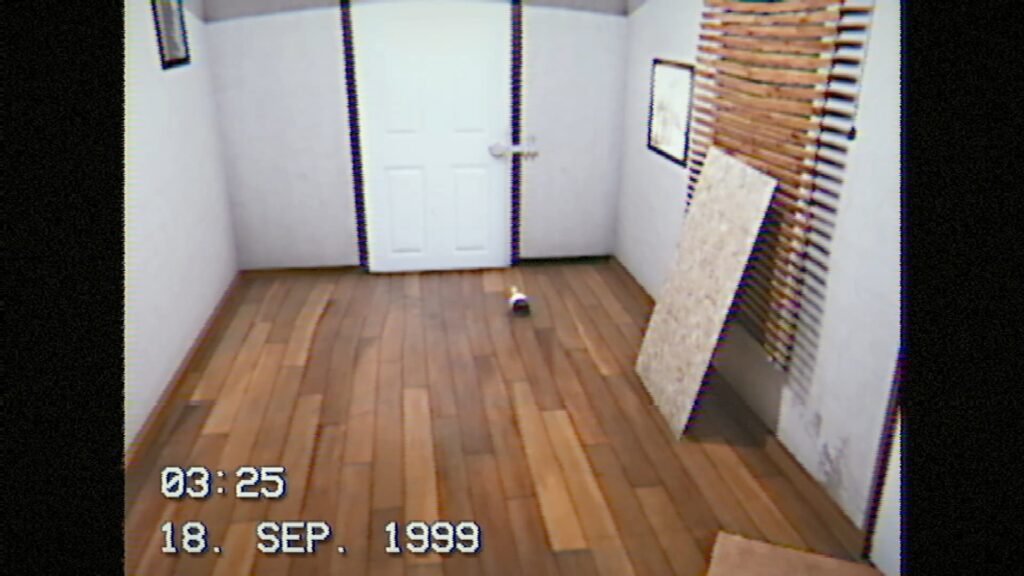 fuzzy footage of a cat in September 1999