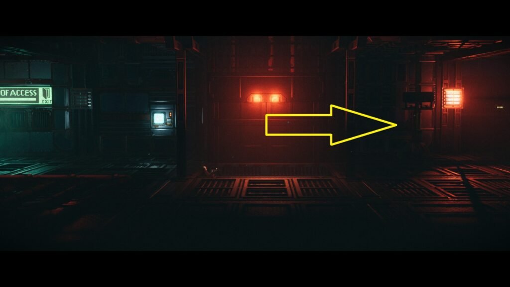 Replaced Abandoned Forest