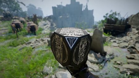 Crimson Desert Sealed Artifact