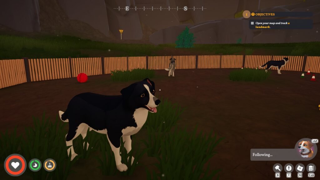 Outbound Dogs at Backyard