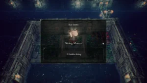 The Adventures of Elliot Diving Manual Item