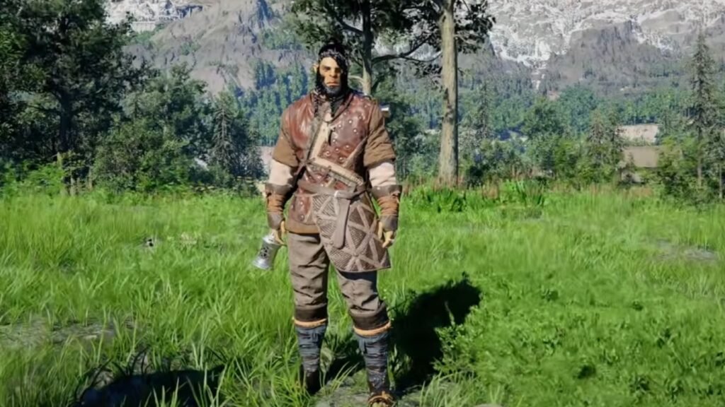 Stein Leather Armor Crimson Desert 1.13
