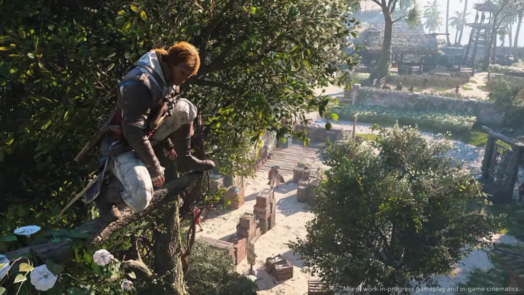 An image showing the gameplay of Assassin's Creed Black Flag Remake.