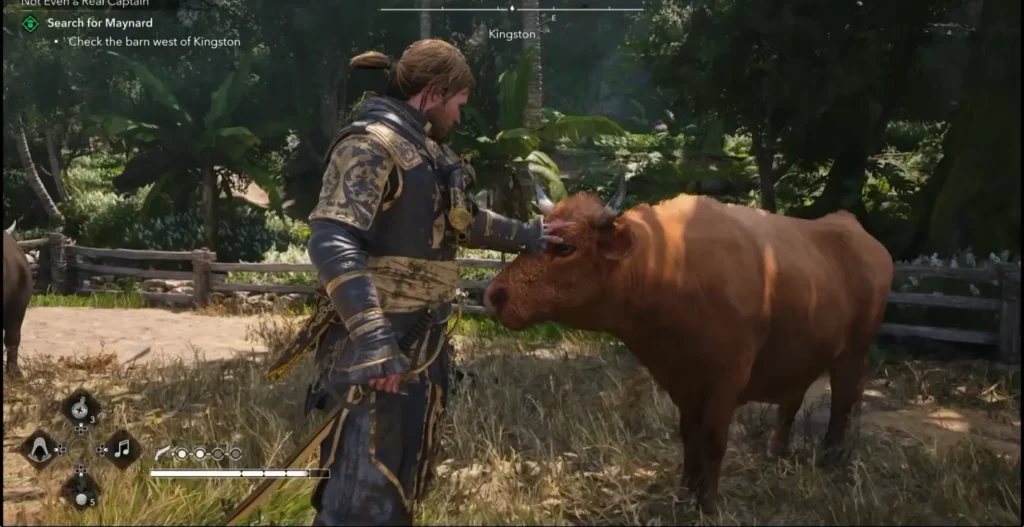 cow