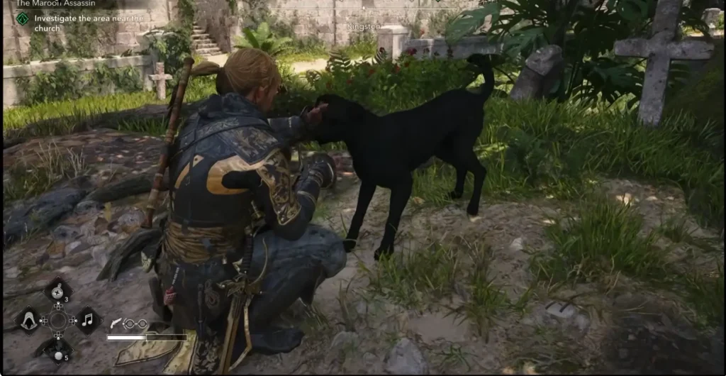dog