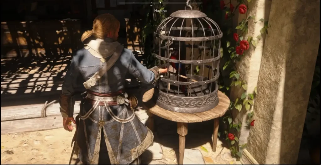 parrot