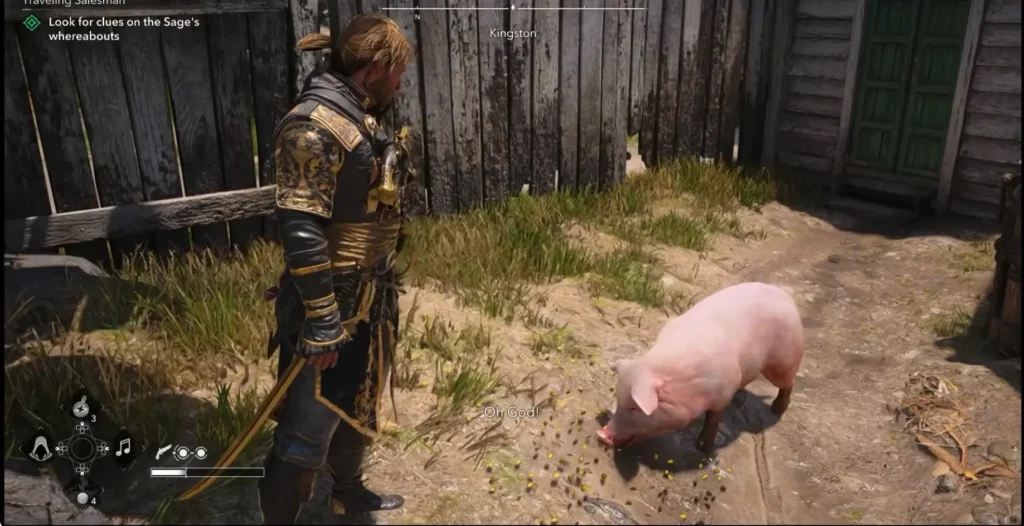 pig