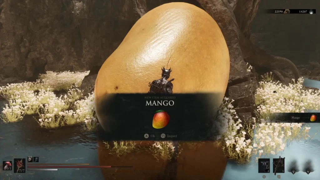 Getting Mango