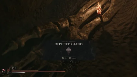 Mortal Shell 2 Depleted Gland