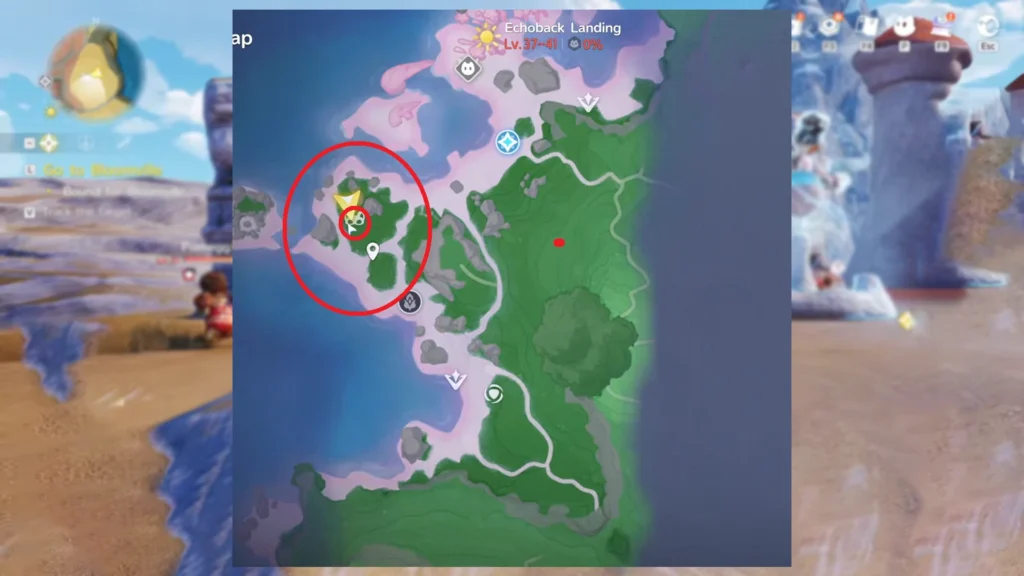 Aniimo Echoback Landing Map