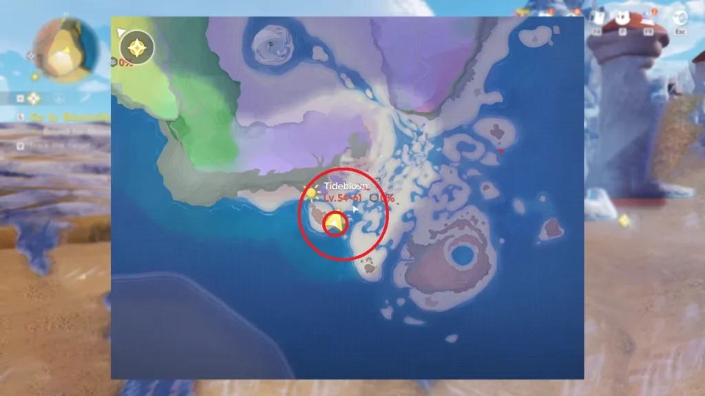 Aniimo Tideblossom Coast Map