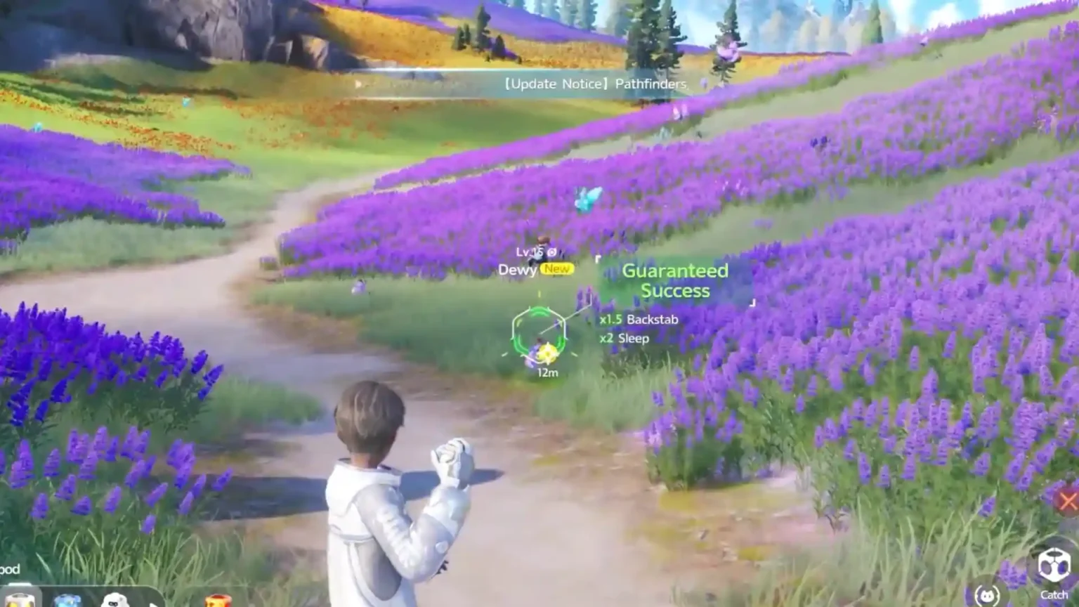 Catching Dewy for Duskwhispers