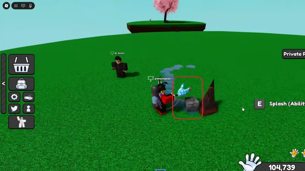 Collecting rock