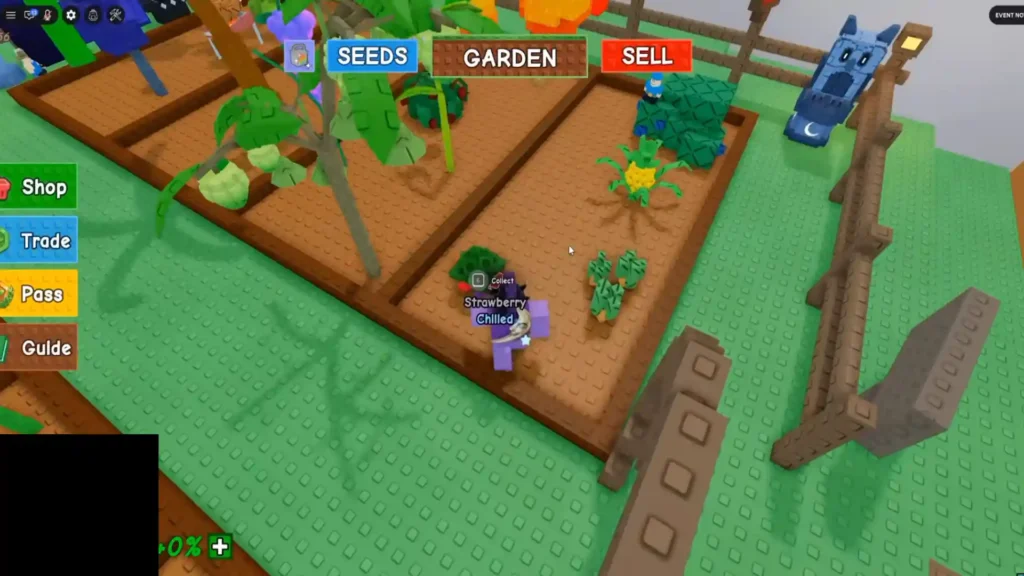 Grow from Garden