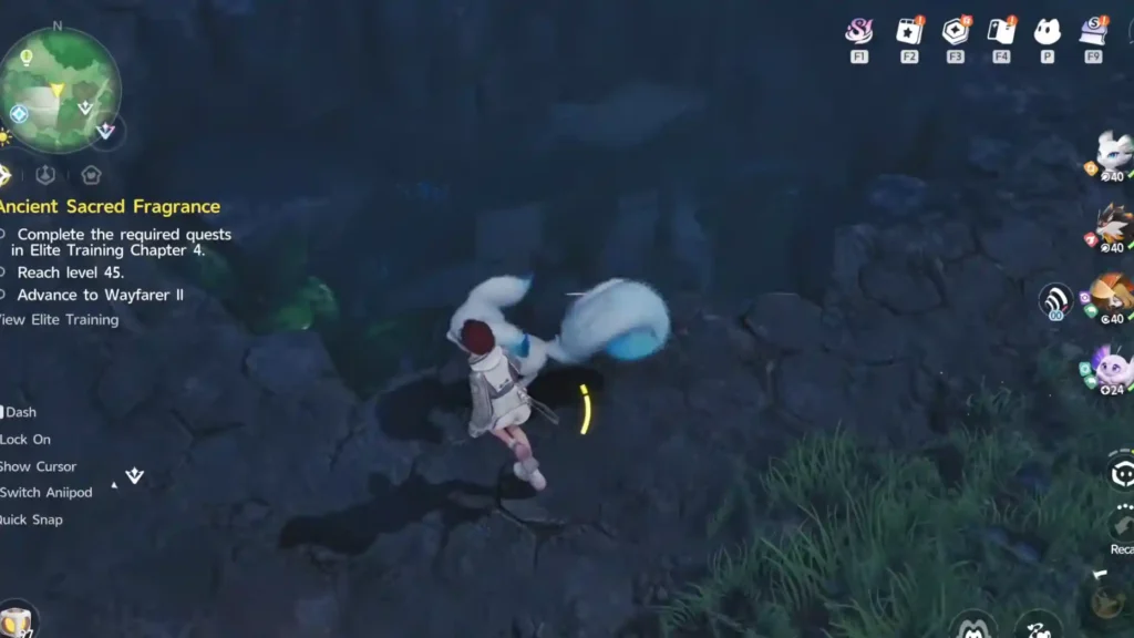 Hole in the ground