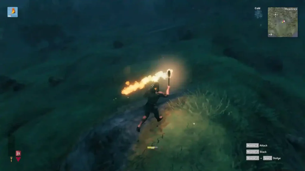 Player using Valheim Plus and other QoL mods