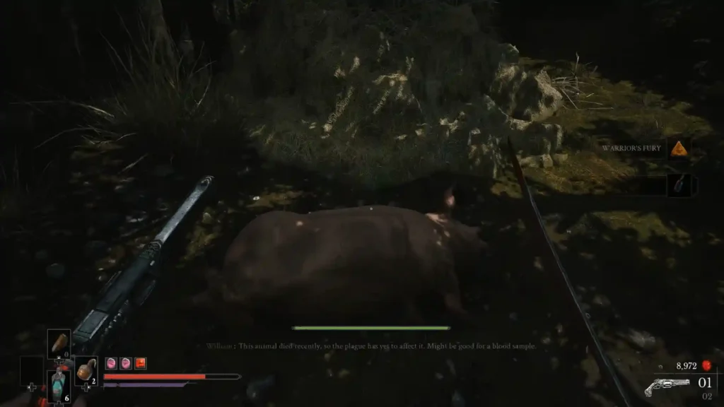 Blood Flask from the Pig