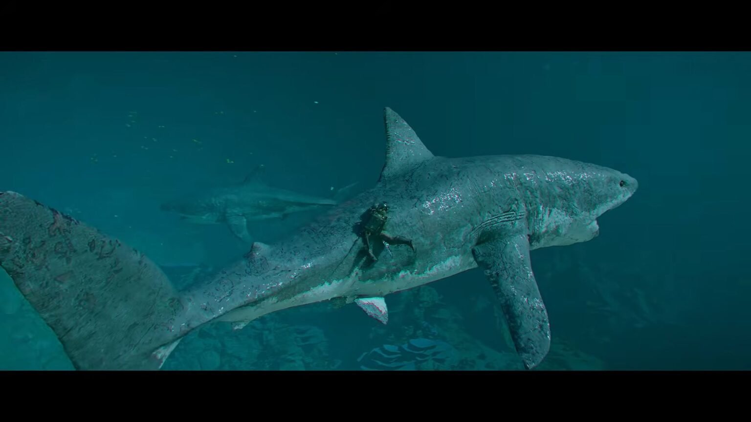 How to Get a Shark Mount in Crimson Desert DLC How to Get a Shark Mount in Crimson Desert DLC - - Guides | | GamesHorizon